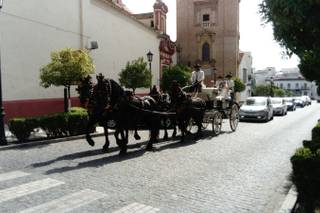 Picadero Rocío Cazorla - Coche de caballos