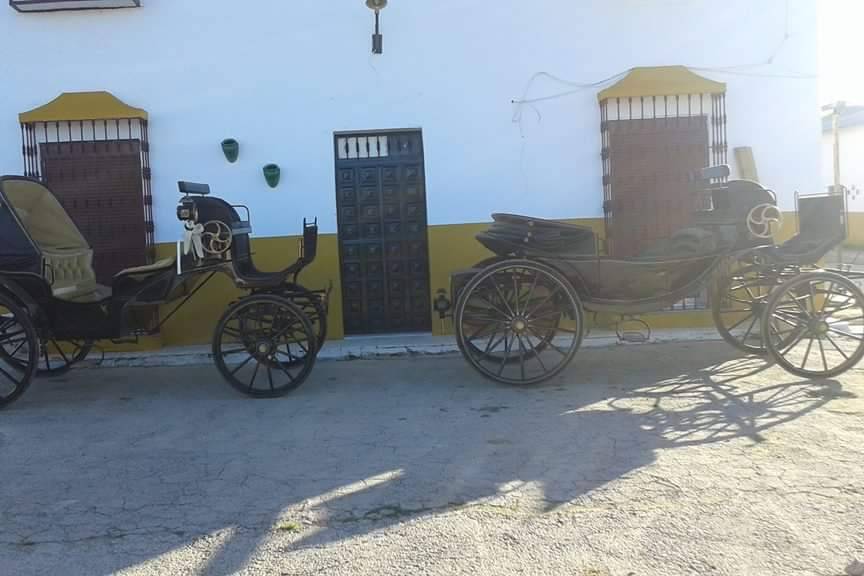 Picadero Rocío Cazorla - Coche de caballos