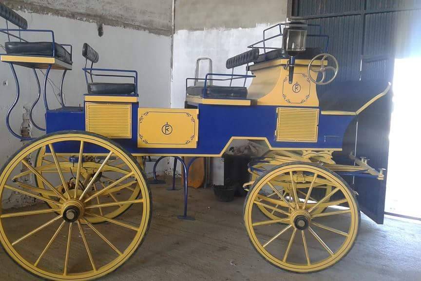 Picadero Rocío Cazorla - Coche de caballos