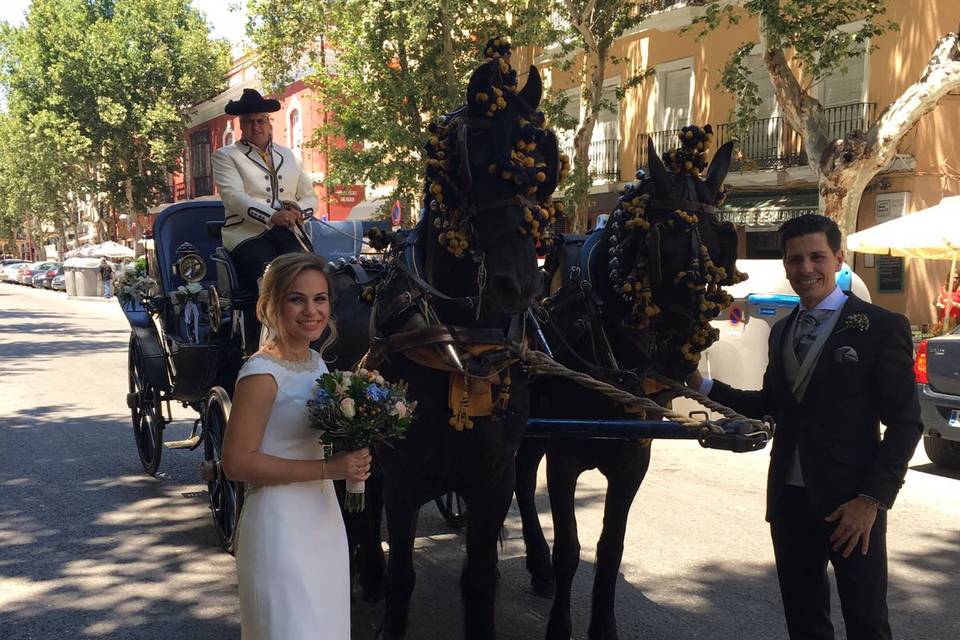 Picadero Rocío Cazorla - Coche de caballos