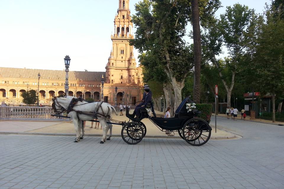 Picadero Rocío Cazorla - Coche de caballos