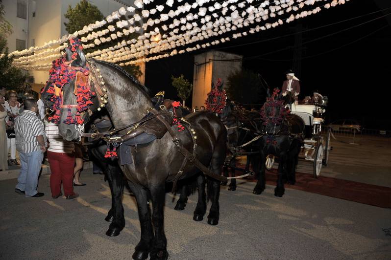 Caballos adornados