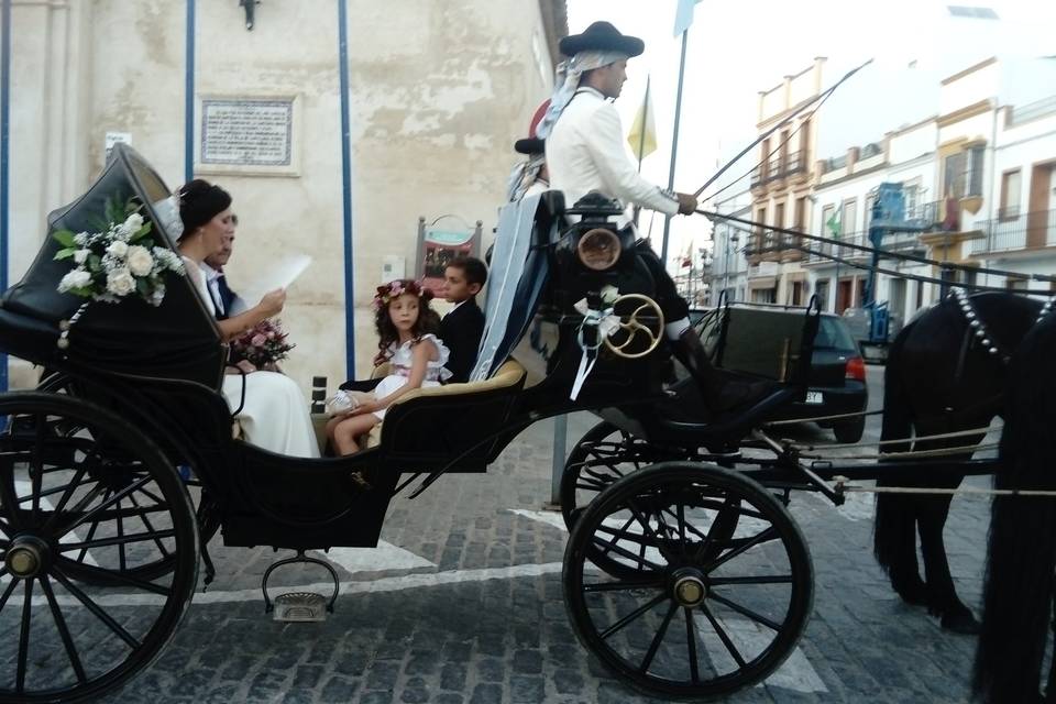 Picadero Rocío Cazorla - Coche de caballos