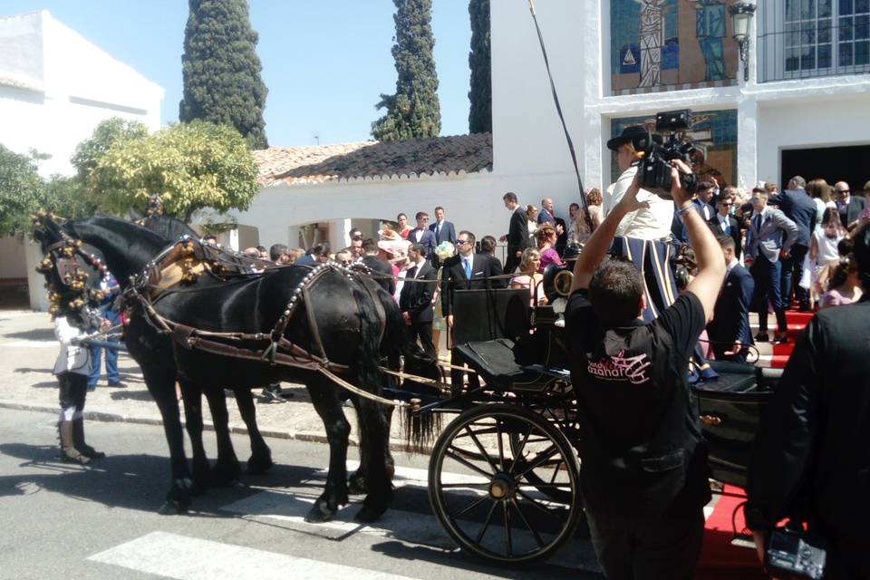 Picadero Rocío Cazorla - Coche de caballos