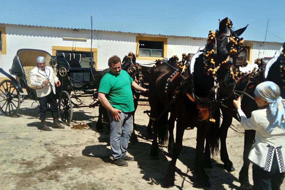 Picadero Rocío Cazorla - Coche de caballos