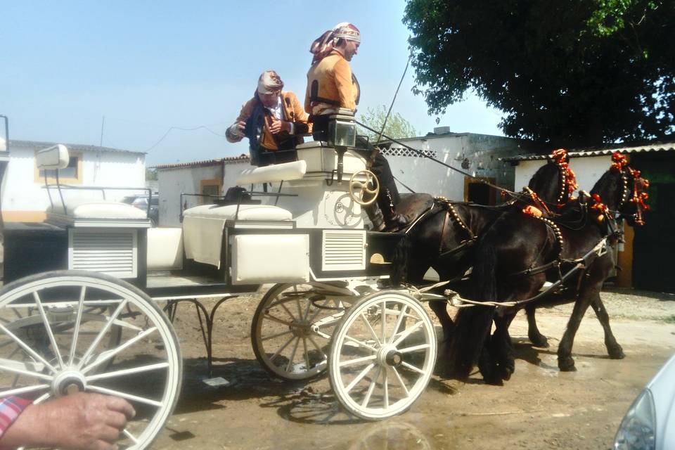 Picadero Rocío Cazorla - Coche de caballos