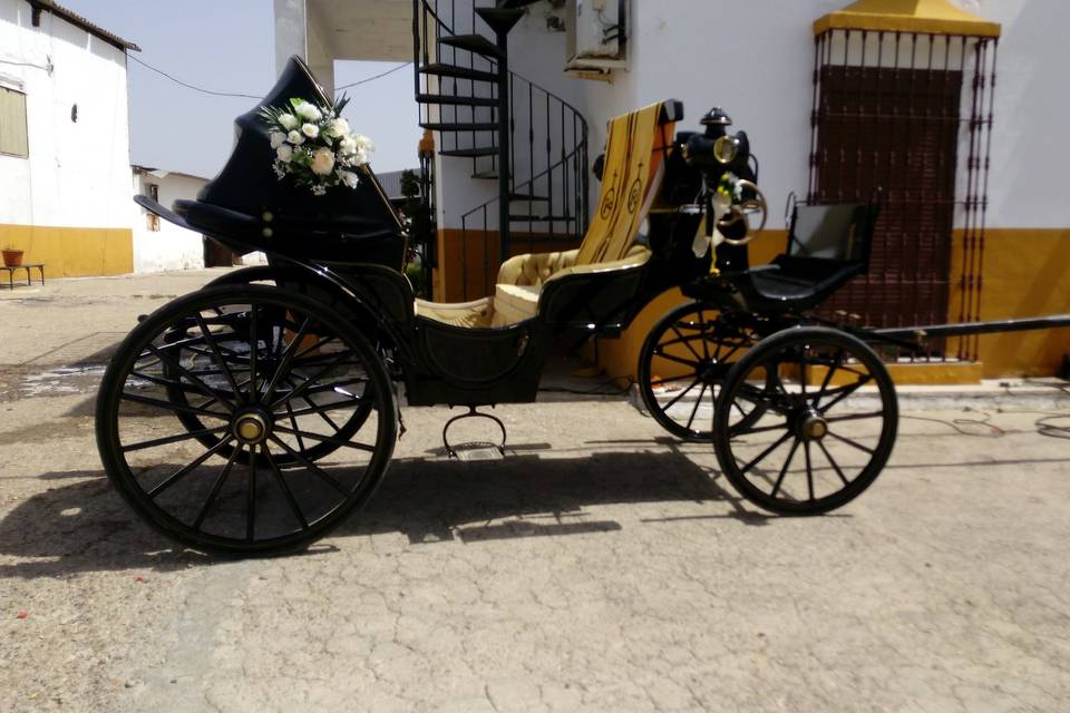 Picadero Rocío Cazorla - Coche de caballos