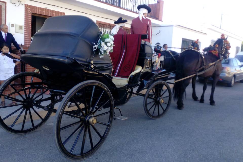 Picadero Rocío Cazorla - Coche de caballos