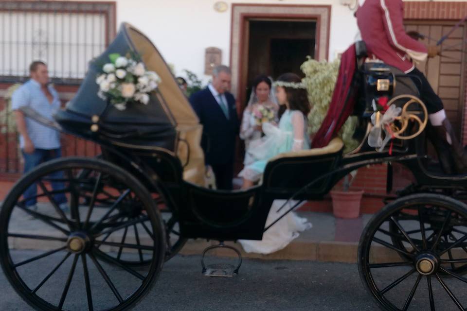 Picadero Rocío Cazorla - Coche de caballos