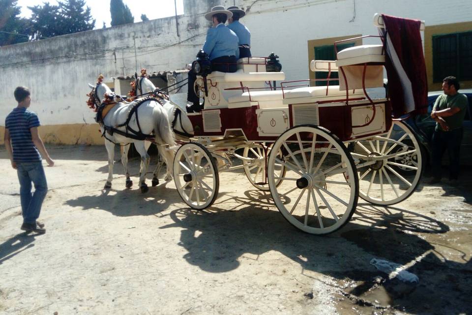 Picadero Rocío Cazorla - Coche de caballos