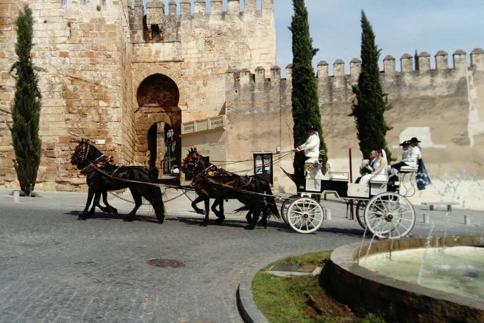 Picadero Rocío Cazorla - Coche de caballos