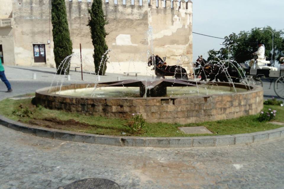 Picadero Rocío Cazorla - Coche de caballos