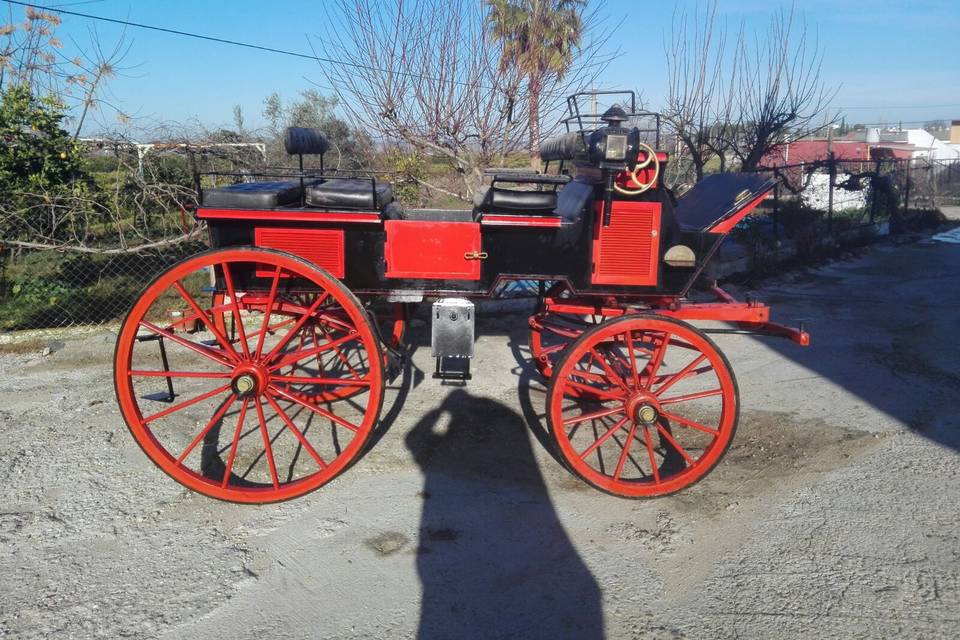 Picadero Rocío Cazorla - Coche de caballos