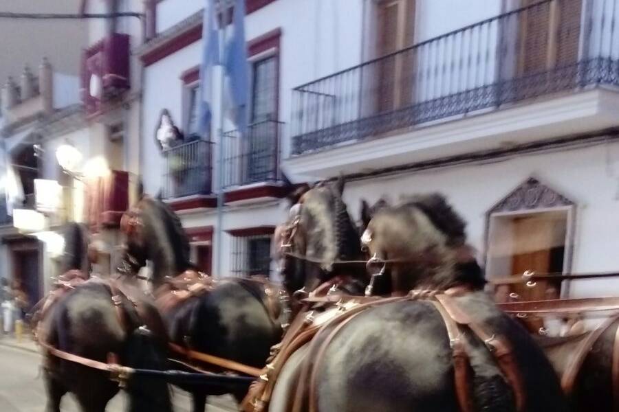 Picadero Rocío Cazorla - Coche de caballos