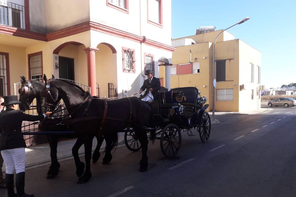 Picadero Rocío Cazorla - Coche de caballos