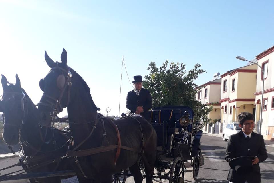 Picadero Rocío Cazorla - Coche de caballos