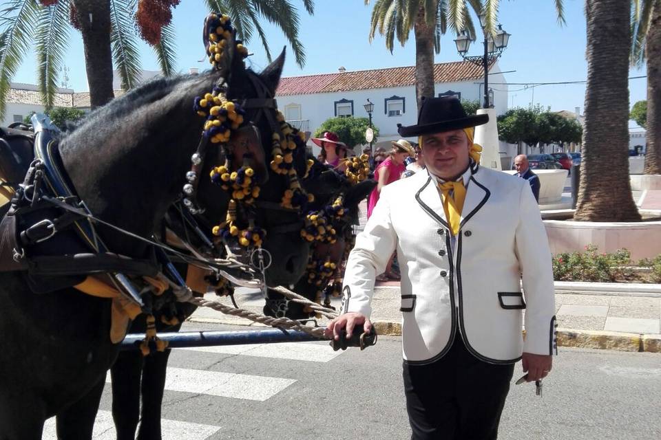 Picadero Rocío Cazorla - Coche de caballos