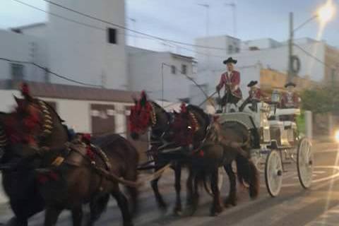 Picadero Rocío Cazorla - Coche de caballos