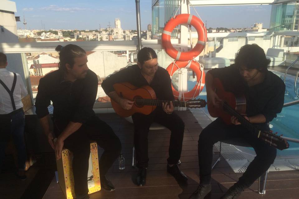 Boda civil - flamenco