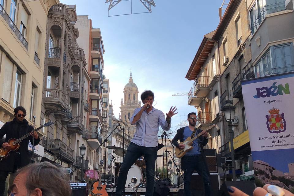 Feria San Lucas 17. Jaén