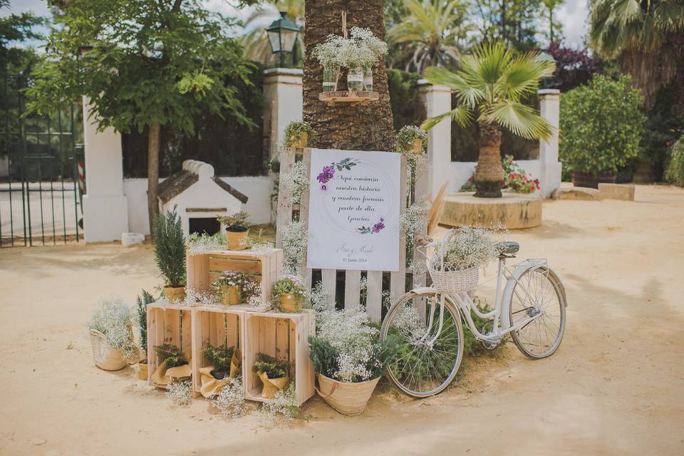 Boda de Mariló y Jesús