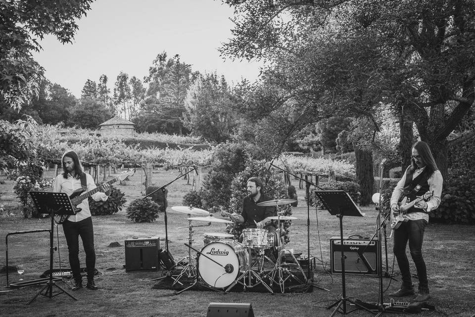 El grupo tocando al aire libre