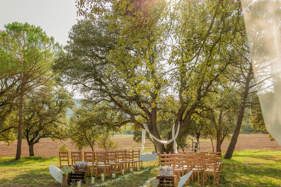 Ceremonia en el bosque