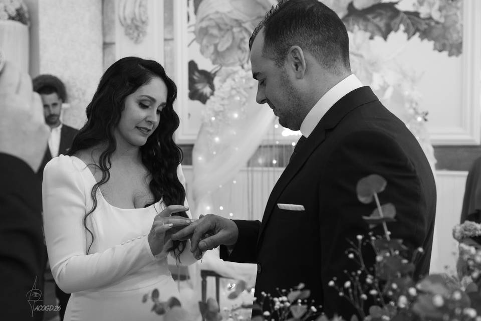 BODA P&M