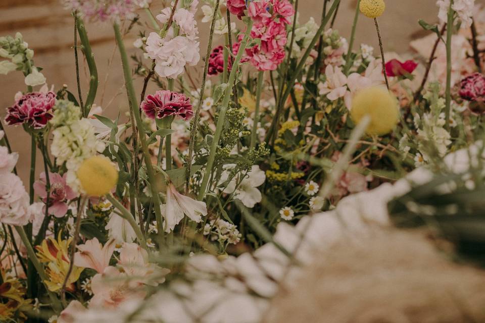 Fuente flores silvestres