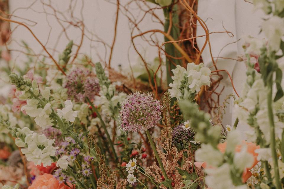 Centros para seating plan