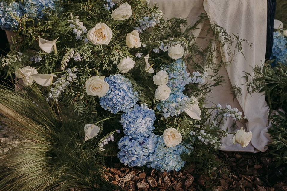 Hortensias, rosas...