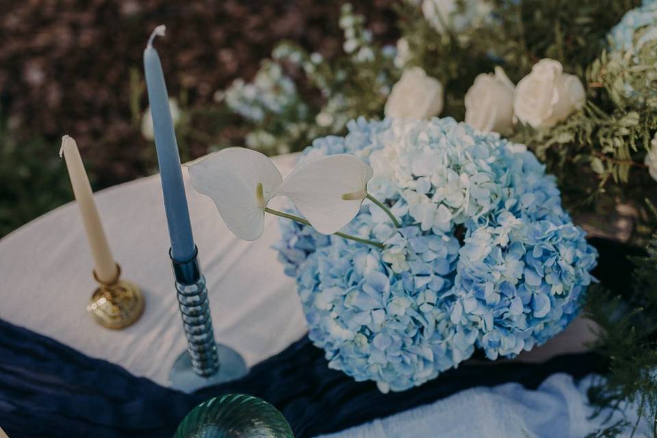 Hortensia y anturios