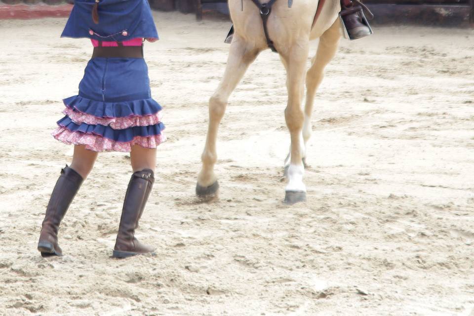 Doma, caballo y bailarina