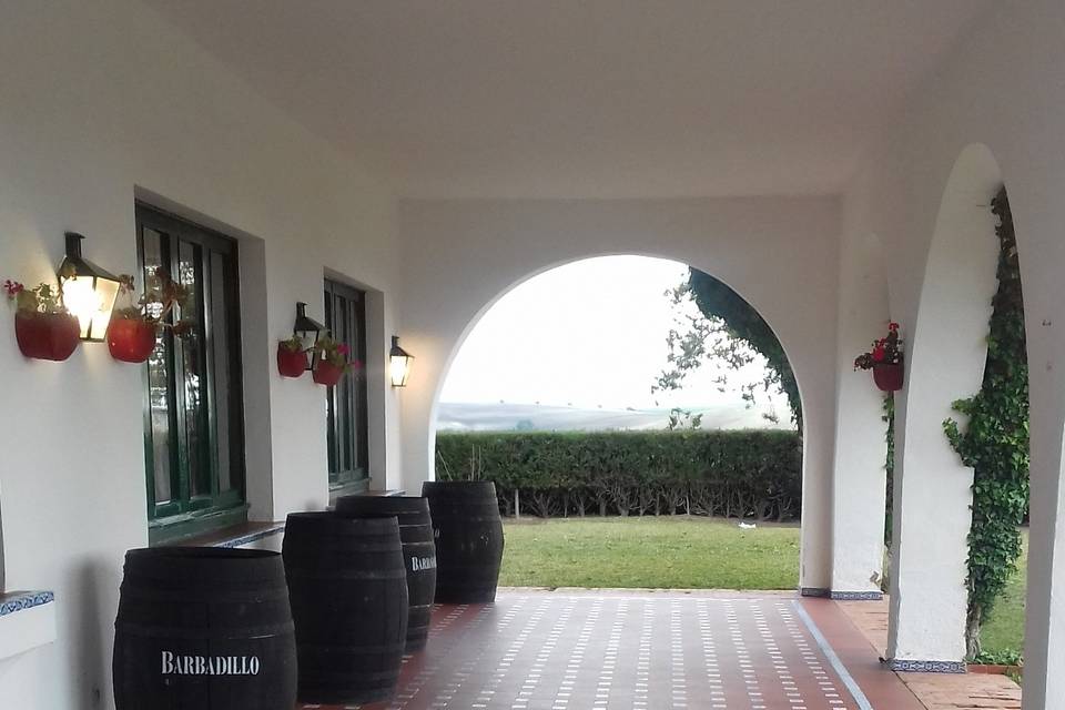 Bodegas Barbadillo