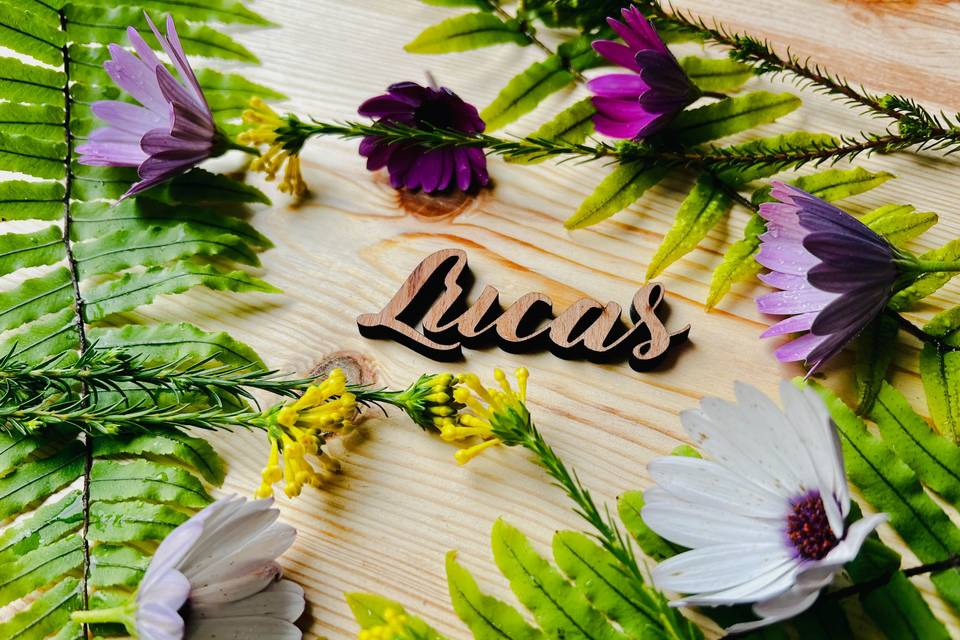 Marcasitios de madera