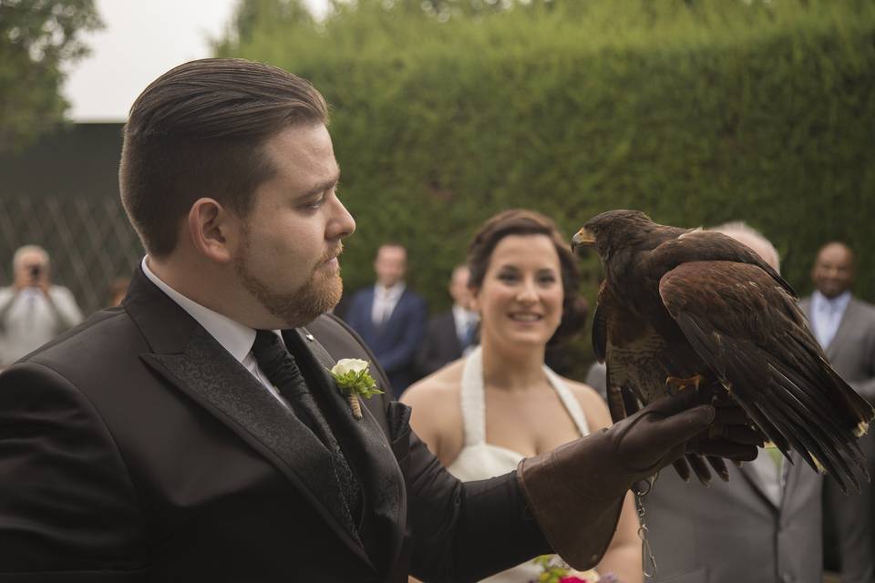 El águila de los anillos.