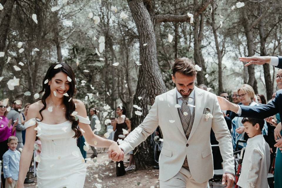 Felicidad absoluta