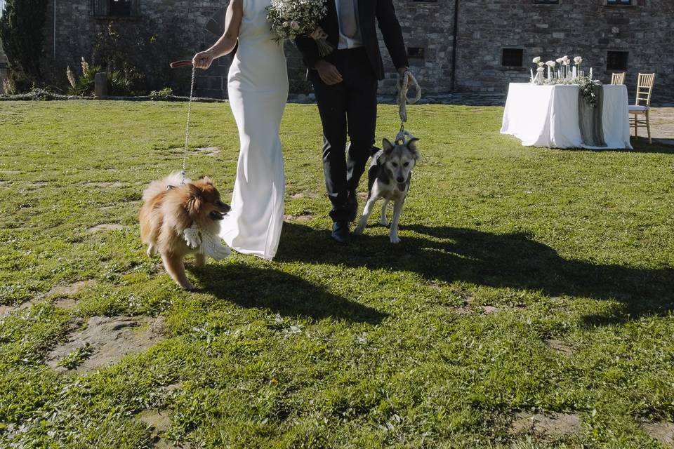 Boda rústica