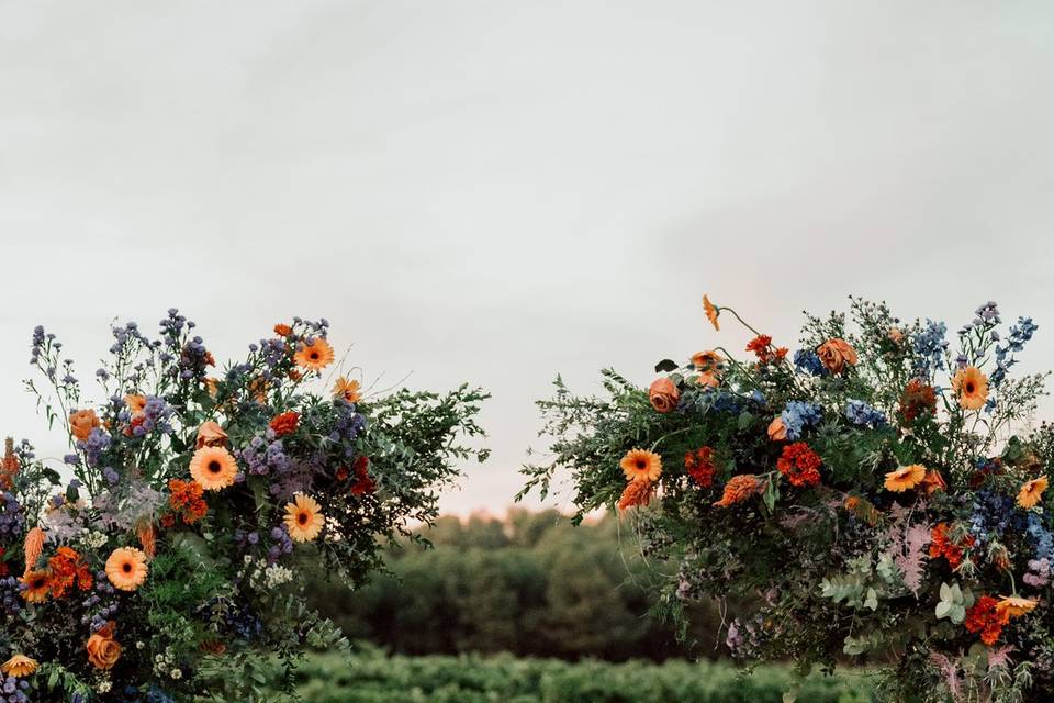 Bodas