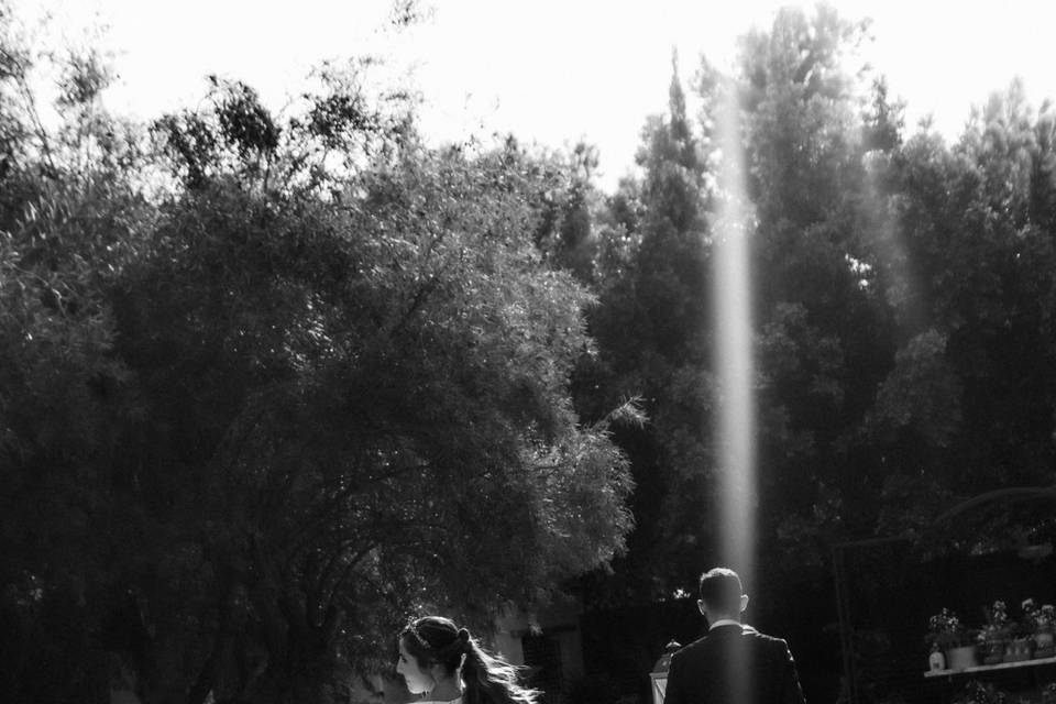 Pittaluga Fotografía