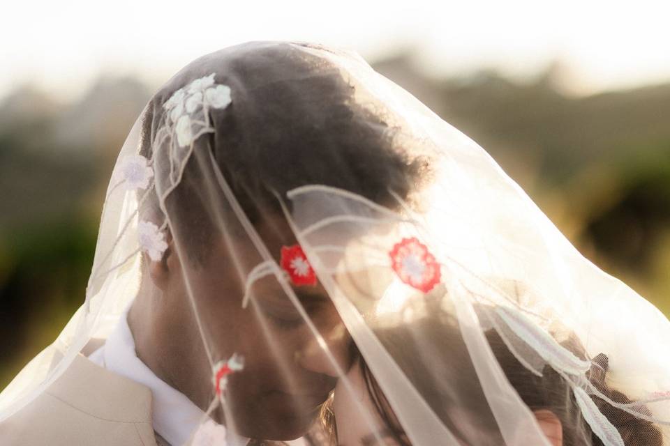 Pittaluga Fotografía