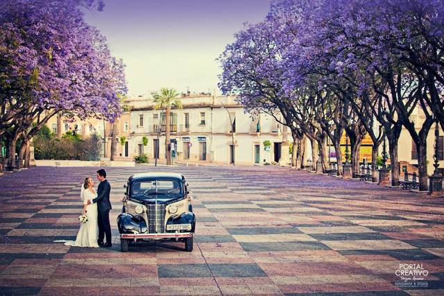 Plaza de arboles