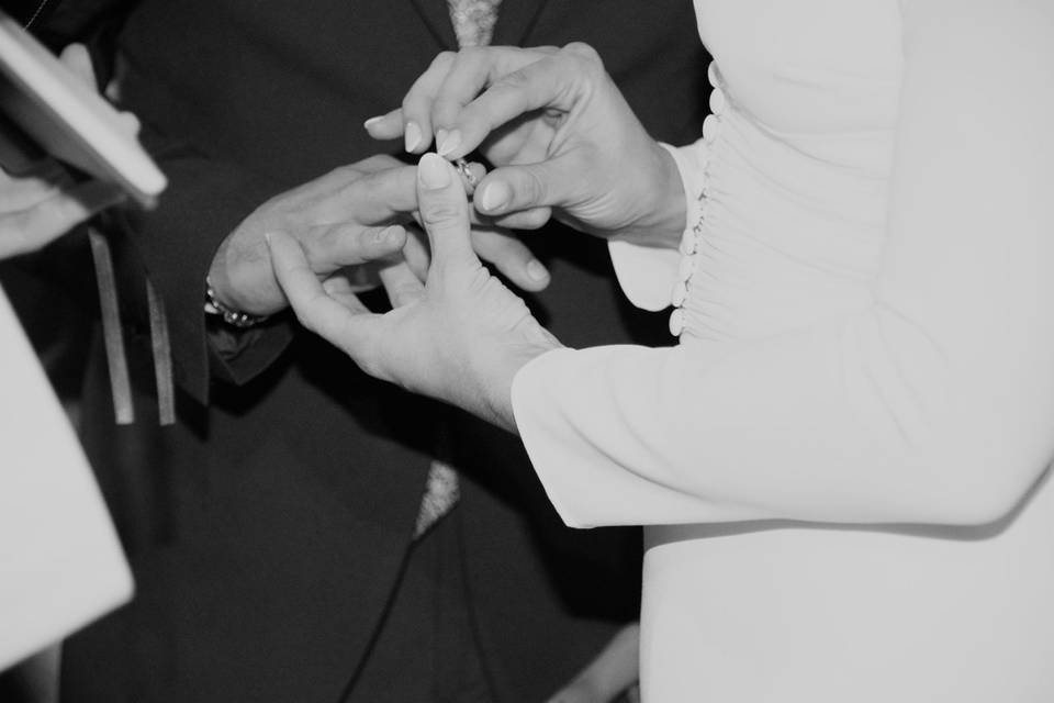 Anillos
