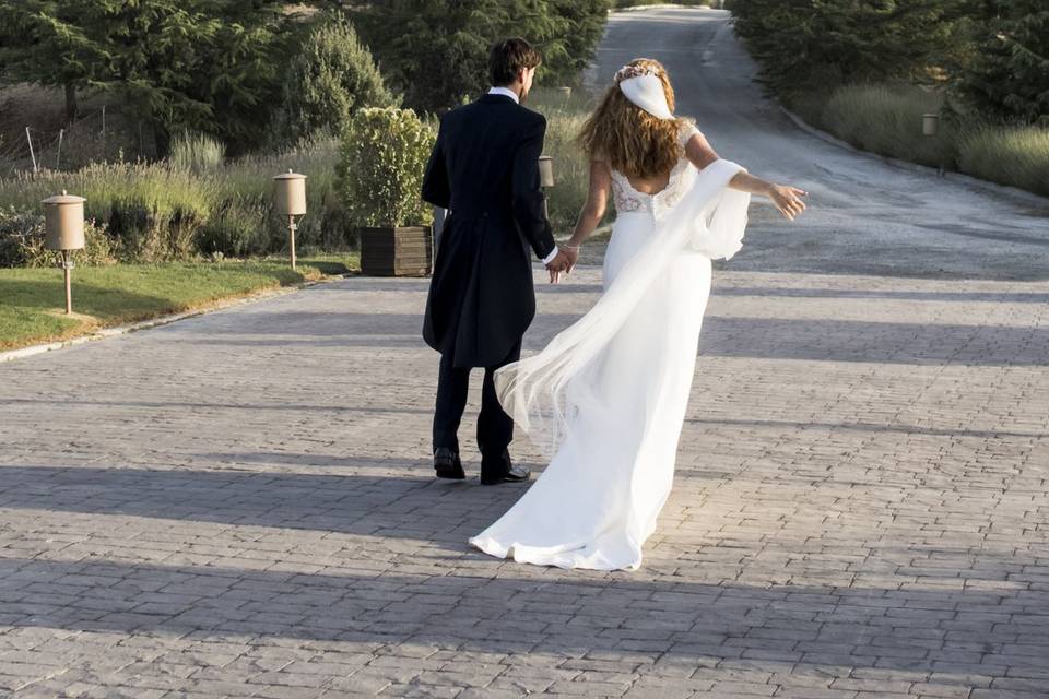 Novios