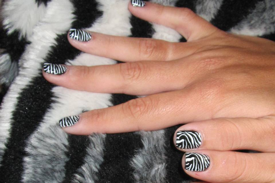 Zebra