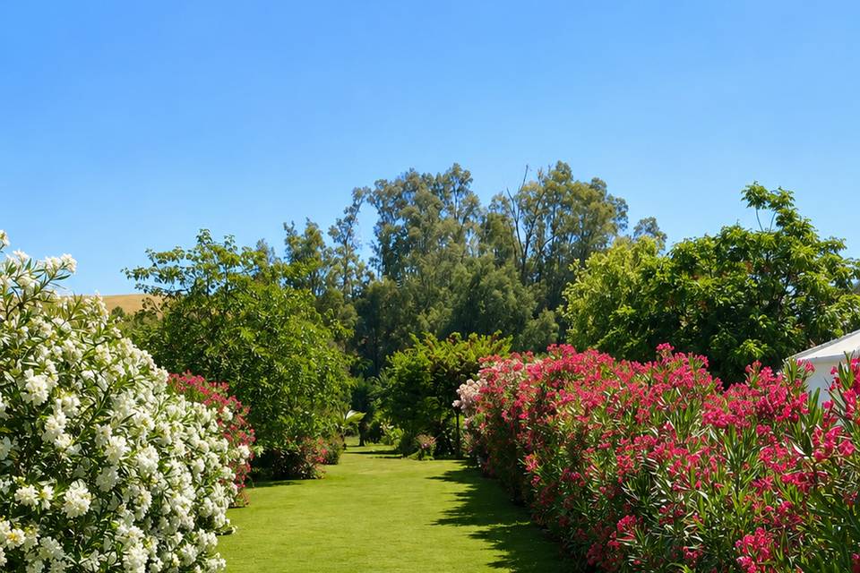 Beautiful gardens with floweri
