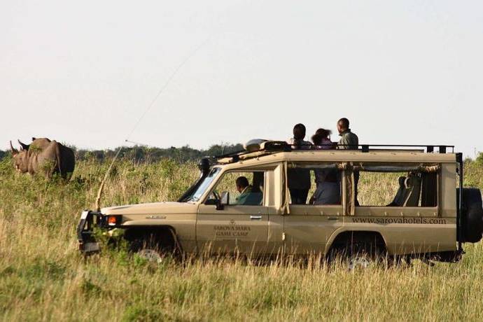 Safari