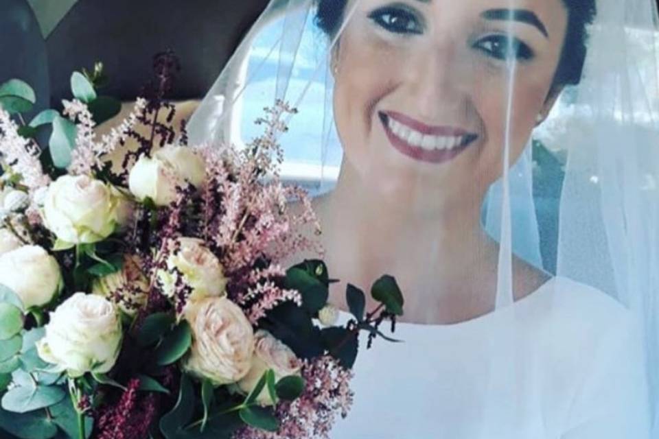 Novia