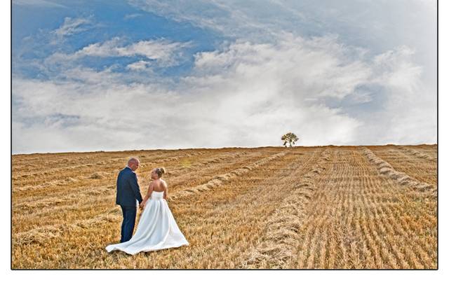 Campo