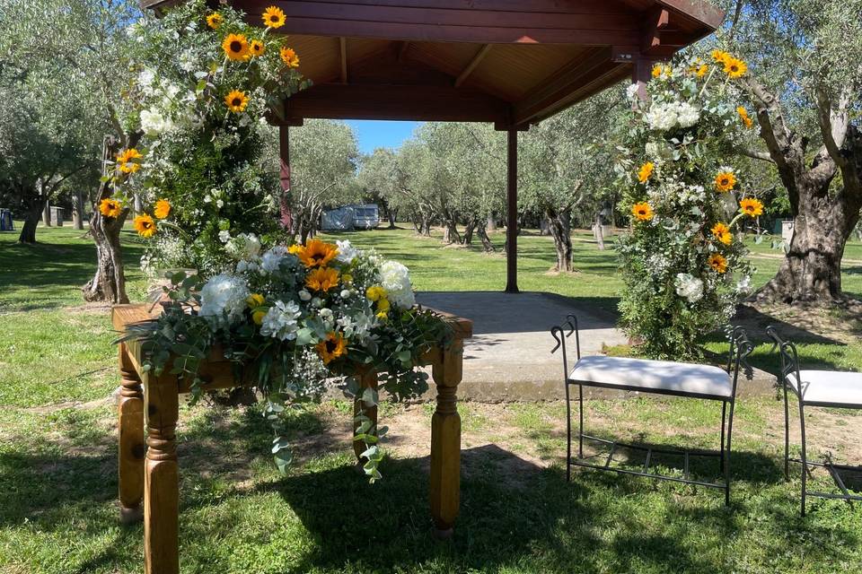 BODA EN EL PIRINEO
